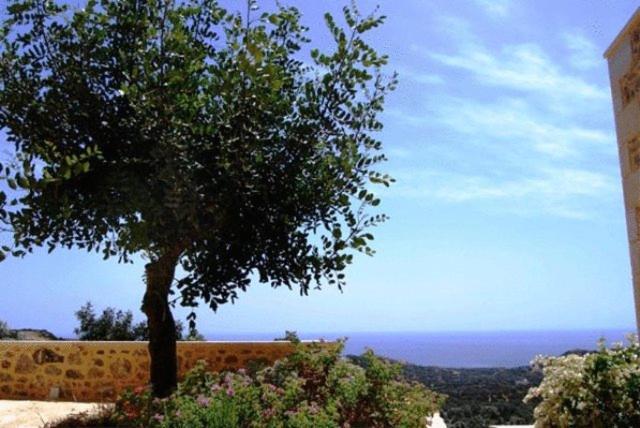 Litiniana Villas トリオペトラ エクステリア 写真